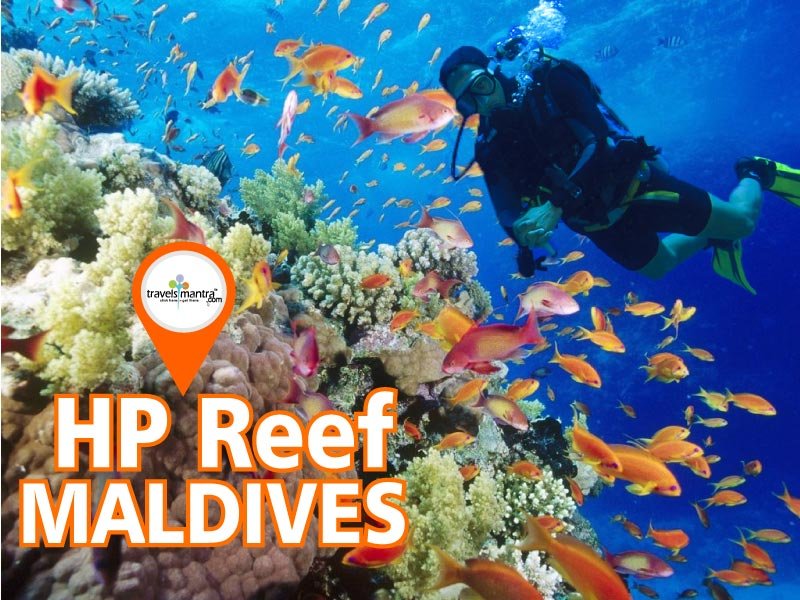 HP Reef Maldives