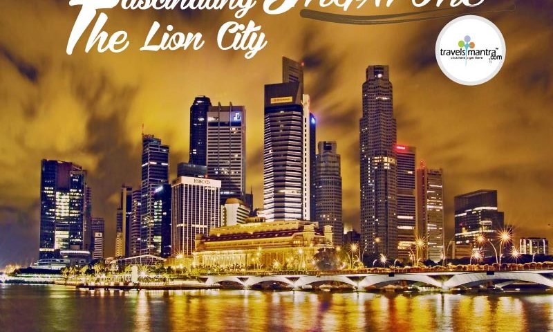 lion city tours singapore