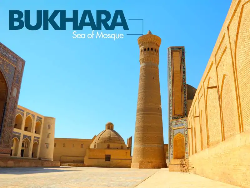 Bukhara Sea of Mosque - Travels Mnatra