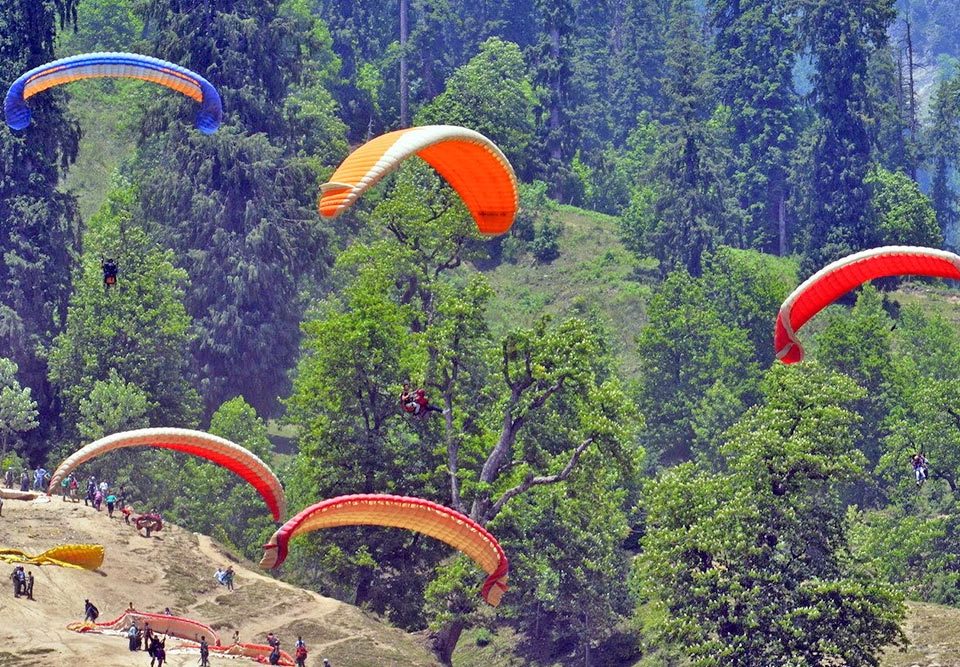 Manali Paraceiling