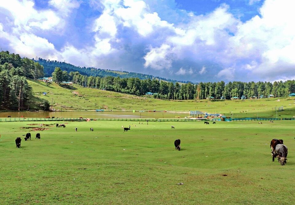 darjeeling travels with travels mantra